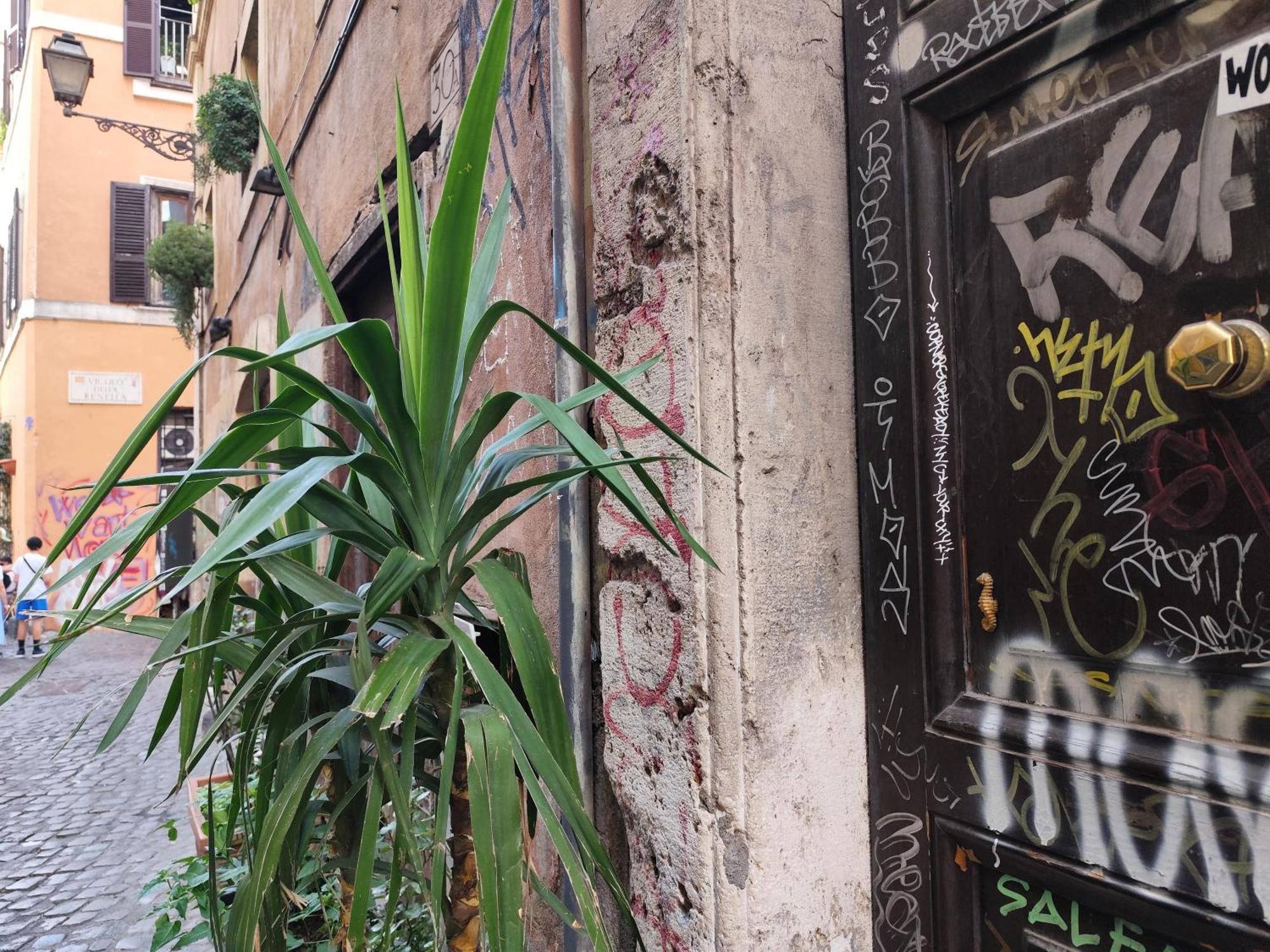 Casa Ludovica Trastevere 罗马 外观 照片